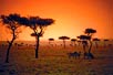 Cruceros África
