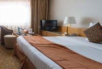 Suite Lujo