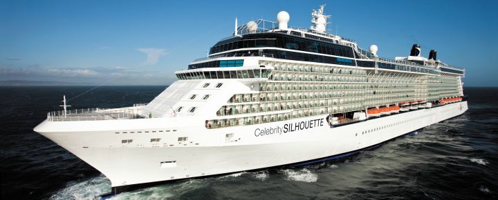 Celebrity Silhouette