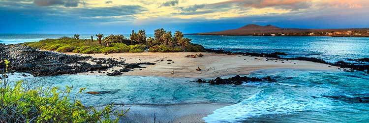 Cruceros de lujo por Galápagos