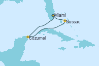 Visitando Miami (Florida/EEUU), Cozumel (México), Nassau (Bahamas), Miami (Florida/EEUU)