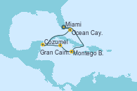 Visitando Miami (Florida/EEUU), Montego Bay (Jamaica), Gran Caimán (Islas Caimán), Cozumel (México), Ocean Cay MSC Marine Reserve (Bahamas), Miami (Florida/EEUU)