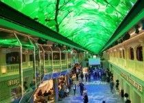 Instalación Paseo interior con cúpula LED