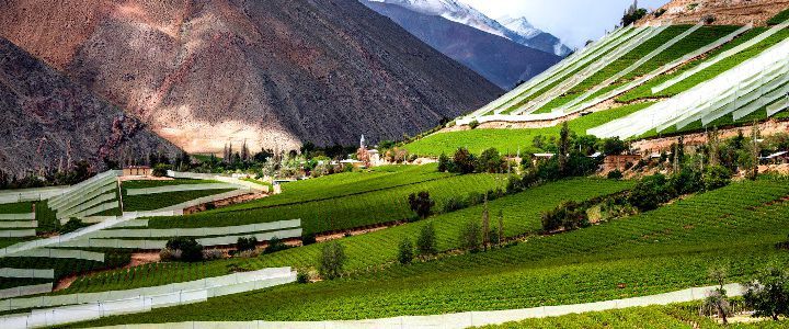 Visitando San Antonio (Chile), Coquimbo (Chile), Pisco (Perú), Lima (Callao/Perú), Lima (Callao/Perú), Banana Coast (Trujillo/Honduras), Manta (Ecuador), Fuerte Amador (Panamá), Fuerte Amador (Panamá), Gran Caimán (Islas Caimán), Fort Lauderdale (Florida/EEUU) Visitando San Antonio (Chile), Coquimbo (Chile), Pisco (Perú), Lima (Callao/Perú), Lima (Callao/Perú), Banana Coast (Trujillo/Honduras), Manta (Ecuador), Fuerte Amador (Panamá), Fuerte Amador (Panamá), Gran Caimán (Islas Caimán), Fort Lauderdale (Florida/EEUU)