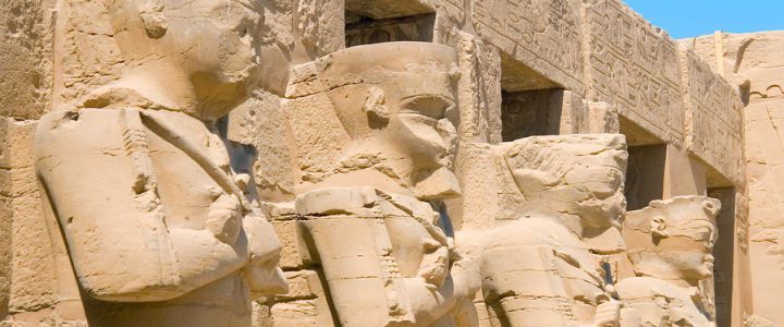 Visitando Luxor (Egipto), Edfu (Egipto), Edfu (Egipto), Asuan (Egipto), Asuan (Egipto), Luxor (Egipto), Luxor (Egipto) y Luxor (Egipto)