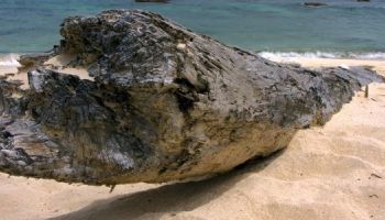 Visitando Amber Cove (República Dominicana)