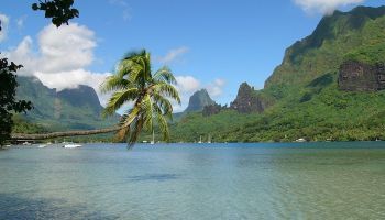 Visitando Bahía de las Islas (Nueva Zelanda)
