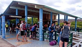 Visitando Baltra (Galápagos)