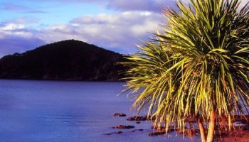 Visitando Bay of Islands (Nueva Zelanda) Visitando Bay of Islands (Nueva Zelanda)