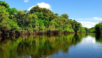 Visitando Boca da Valeria (Amazonas)