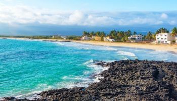 Visitando Caleta Tagus (Isla Isabela, Galápagos)