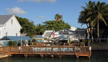 Visitando Cayo Hueso (Key West/Florida)