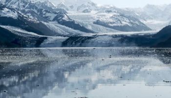 Visitando College Fjord (Alaska)