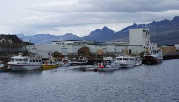 Visitando Djupivogur (Islandia)