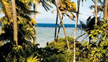 Visitando Dravuni (Fiji)
