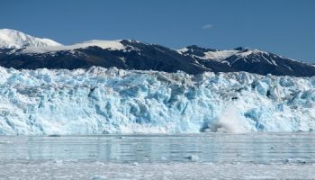 Visitando Glaciar Bay (Alaska)