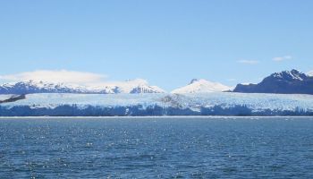 Visitando Glaciar Pio XI (Chile)