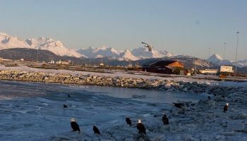 Visitando Homer (Alaska)