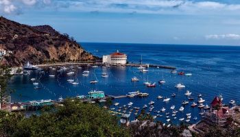 Visitando Isla Catalina (California/USA)