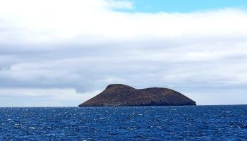 Visitando Isla Daphne (Galápagos)