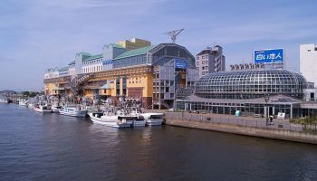 Visitando Kushiro (Japón)