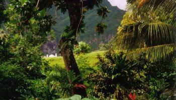 Visitando Nuku Hiva (Polinesia Francesa)