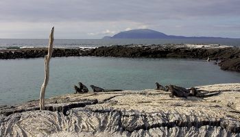 Visitando Punta Espinoza (Galápagos/Ecuador)