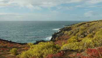 Visitando Punta Pitt (Isla San Cristóbal/Galápagos)