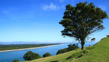 Visitando Tauranga (Nueva Zelanda) Visitando Tauranga (Nueva Zelanda)