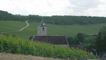 Visitando Viviers (Francia)