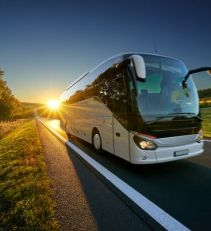 Ventaja: Traslados en bus gratis a tu puerto de embarque Cruceros MSC