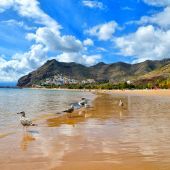 cruceros/canarias/